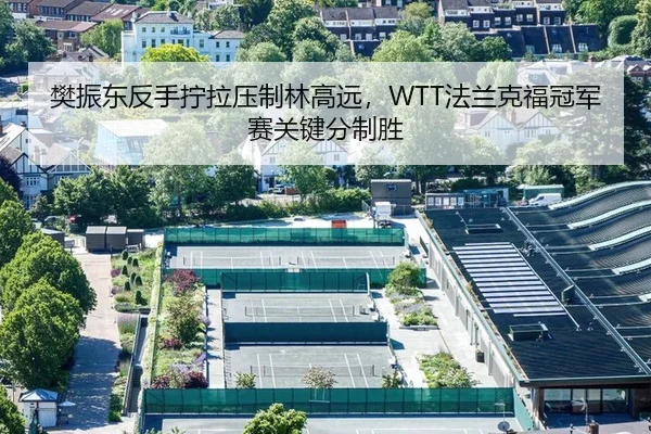 樊振东反手拧拉压制林高远，WTT法兰克福冠军赛关键分制胜